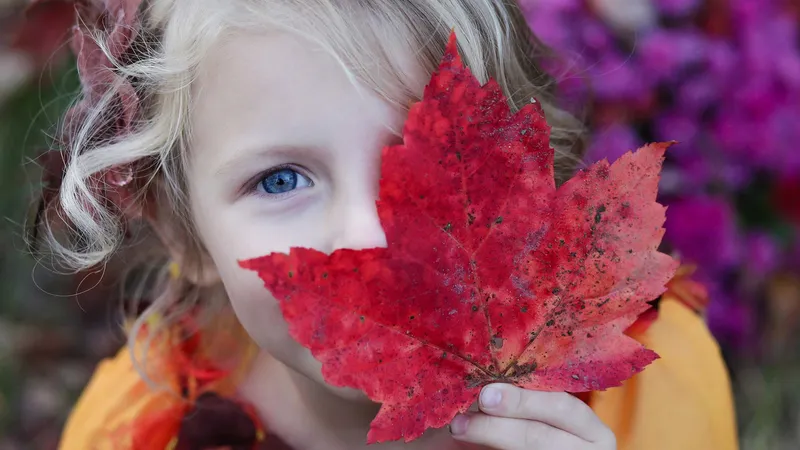 Canada In A Day — documentary companion site