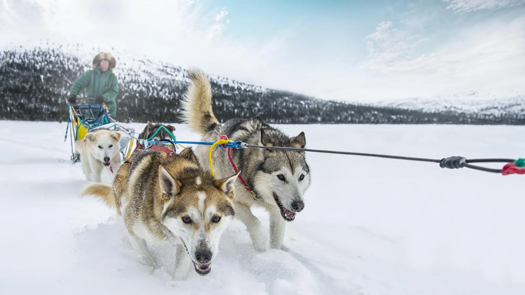 Travel Yukon — tourism site design