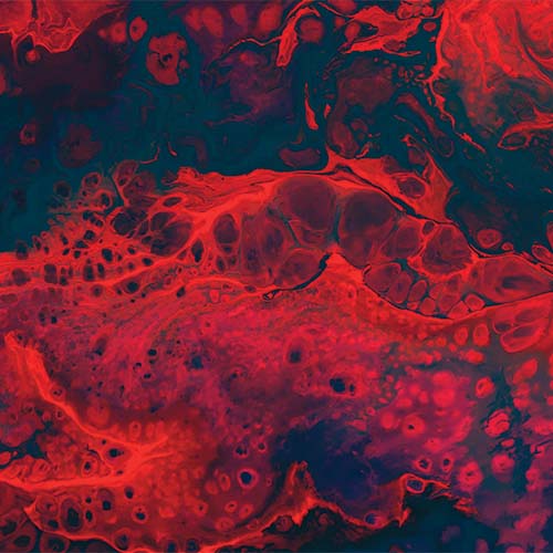 Snake blood