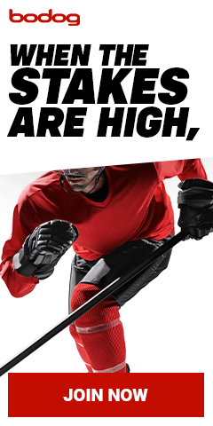 NHL #MAKEAPLAY half-page banner ad, animated