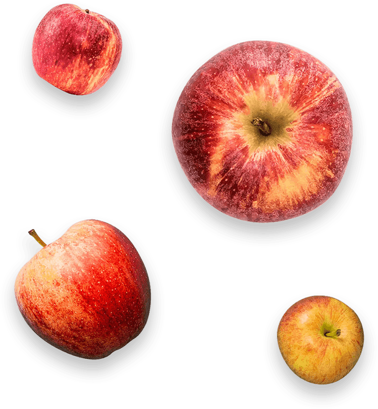 Falling apples — the rescued fruit the Hunnie is made from