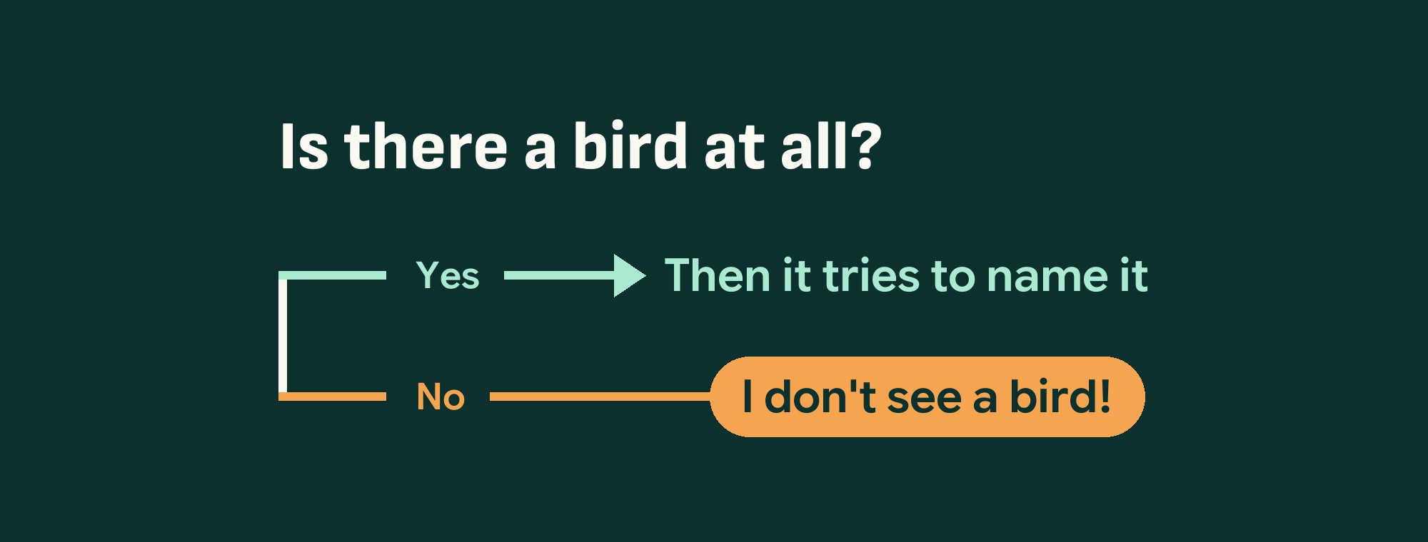 The app asks: is there a bird at all? Yes, and it tries to name it. No, and it says I don't see a bird.