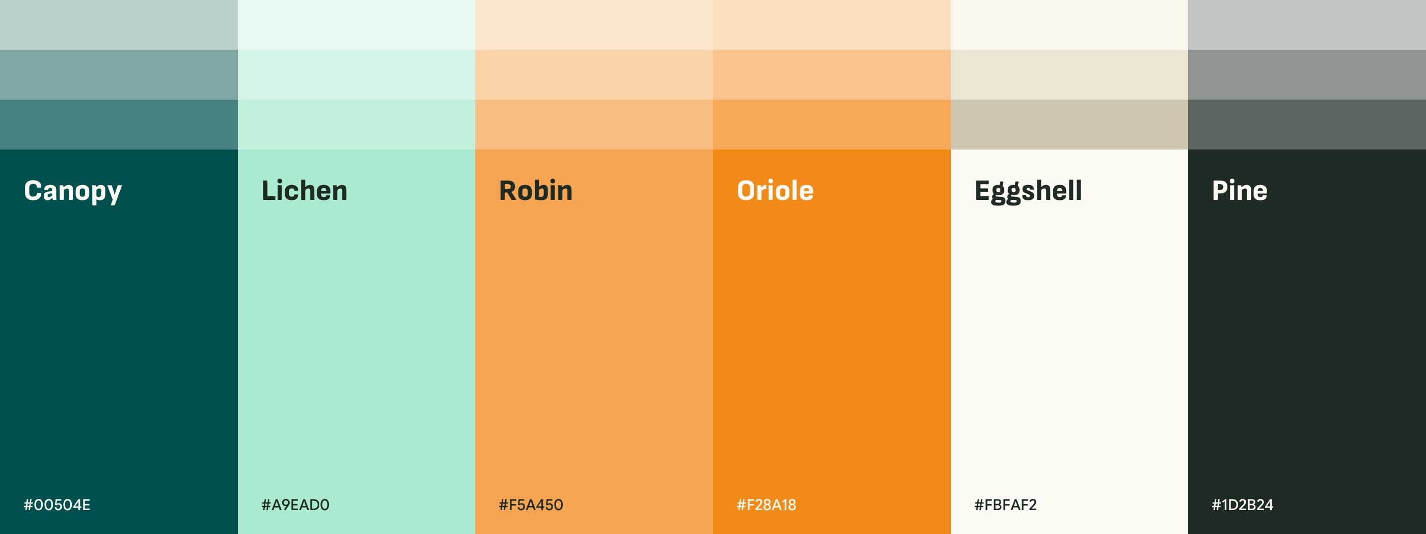 The Spotter palette: Canopy, Lichen, Robin, Oriole, Eggshell and Pine, each with a tint band and its hex value