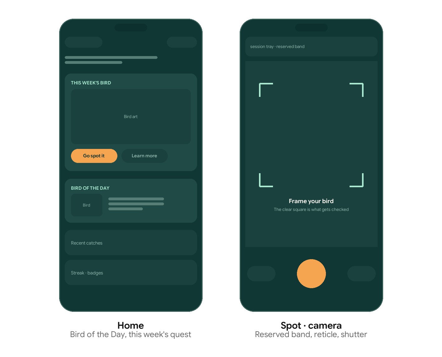 Wireframes: Home and the camera screen