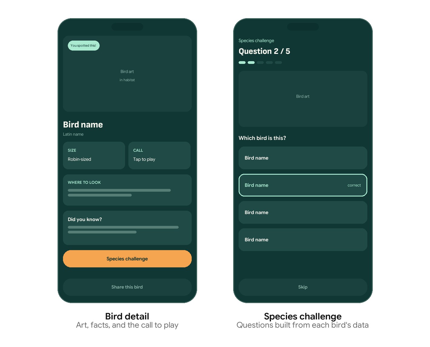 Wireframes: the bird detail screen and the species challenge