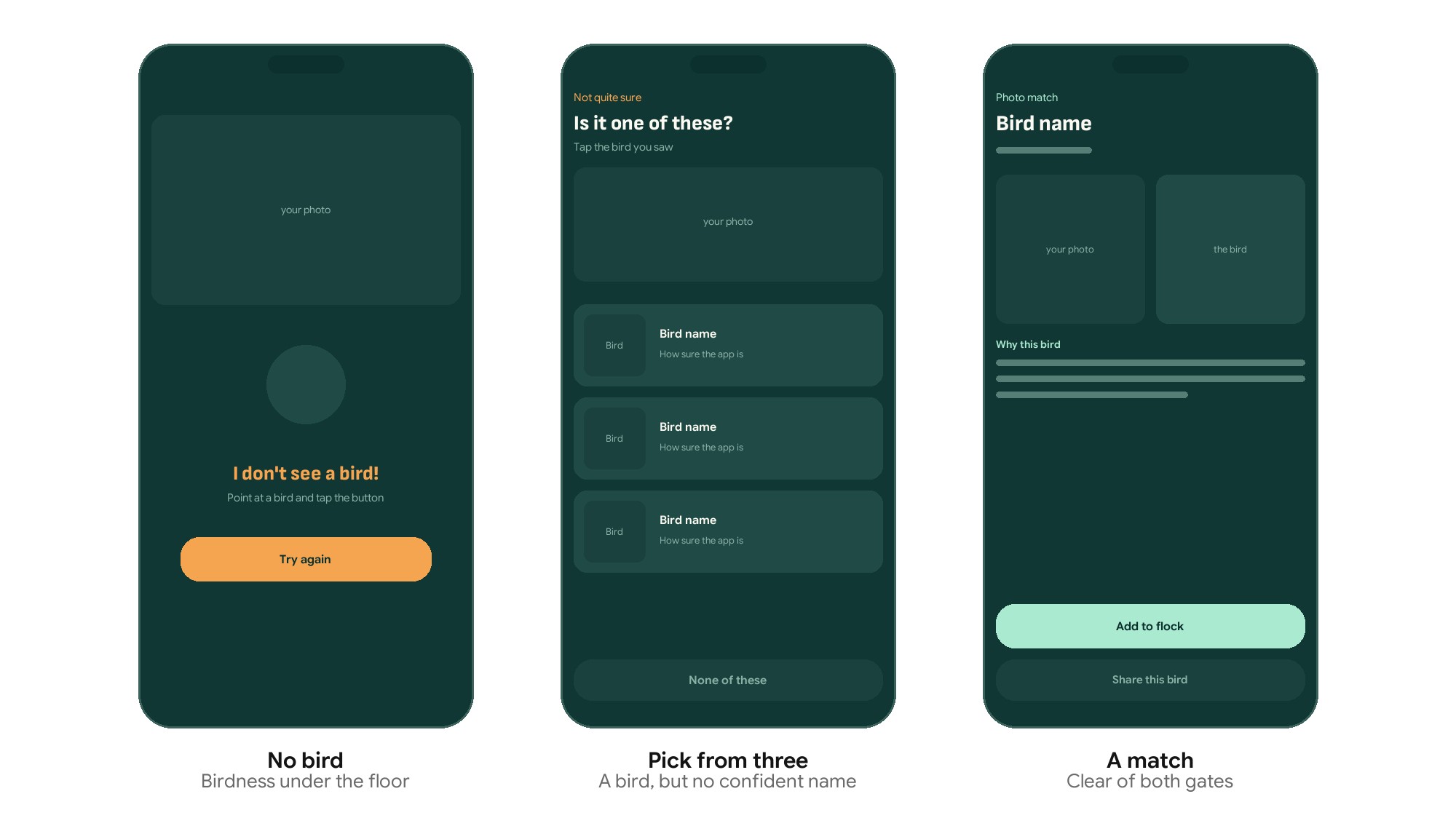 Three wireframe screens: no bird found, the three-candidate picker, and a confirmed match