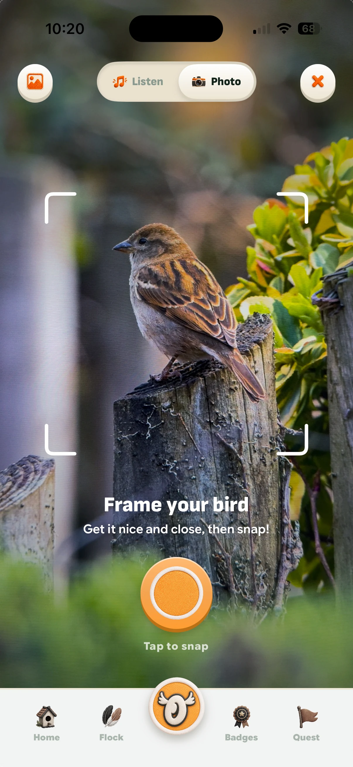 The camera screen: a sparrow on a fence post inside the reticle's corner brackets, the Listen and Photo toggle above with Photo selected, and Frame your bird, get it nice and close, then snap, sitting over the shutter