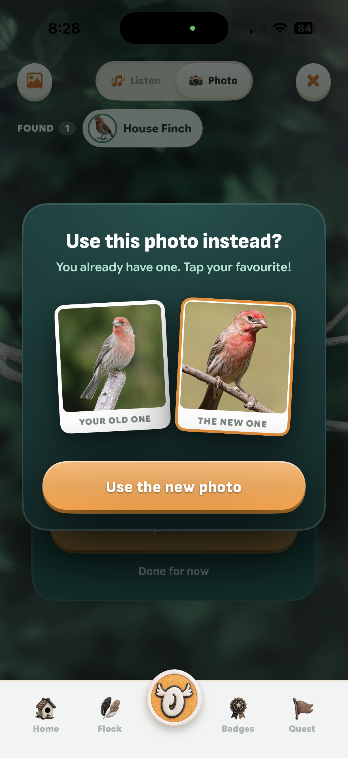 The replace-photo modal: the old photo and the new one as tilted polaroids, each one a button, with one Use-the-new-photo action beneath