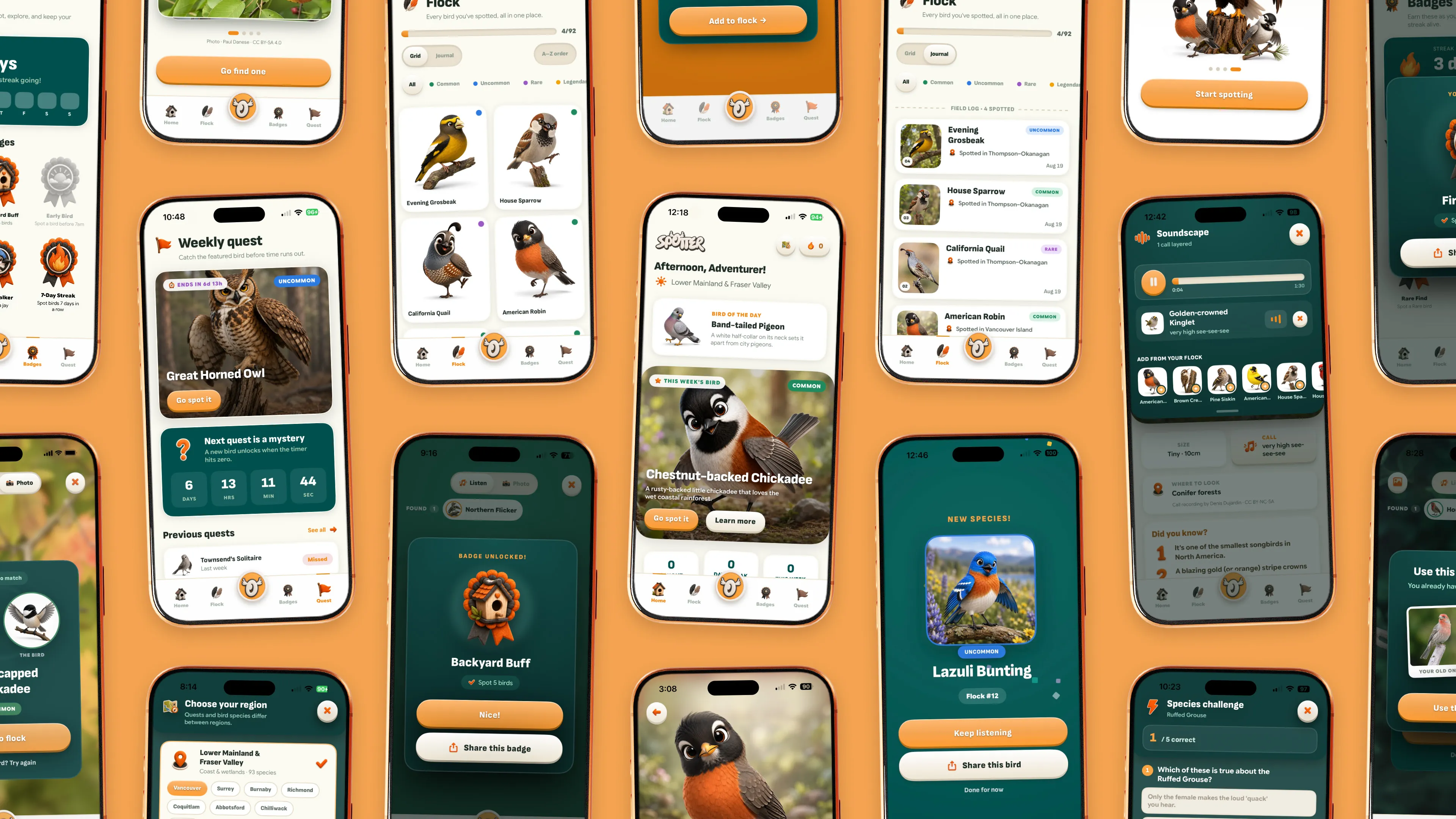 A tilted grid of Spotter screens on orange: the flock, a weekly quest, a Backyard Buff badge unlock, Bird of the Day, a soundscape, the species challenge, the region picker and a newly caught Lazuli Bunting